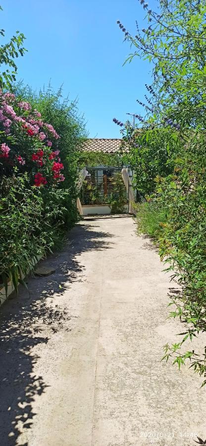 Secret Garden - Chez Gilles Et Tra - Maison D Hote -T2 Super Mignon, Neuf Et Independant , Dans Cadre Agreable Et Zen Valergues Exteriér fotografie